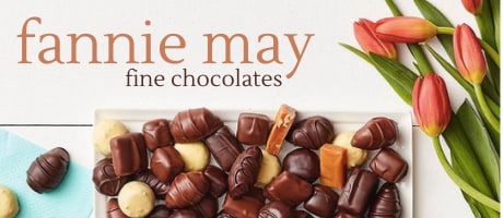 Beautiful Seasonal Flowers Banner